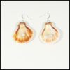 boucle-oreille-coquille-014a