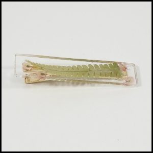 barette-crocodile-resine-feuille-fleurs-087